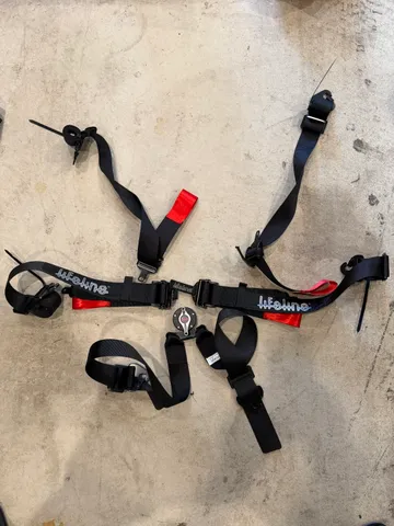 Lifeline 6 point harness 2031 expiration